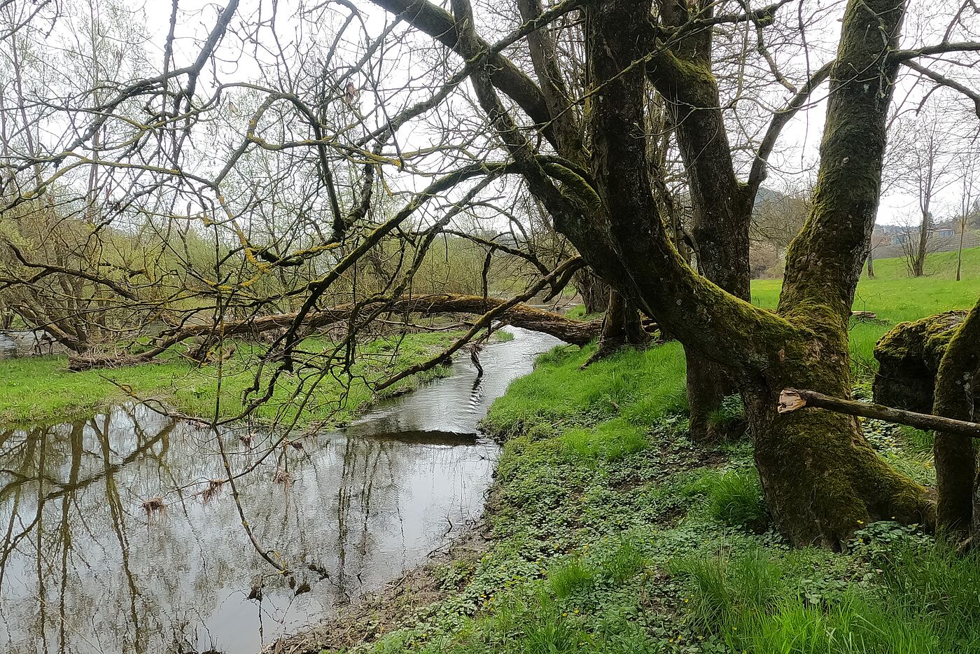 3-Flüsse-Radtour_Flusslandschaft
