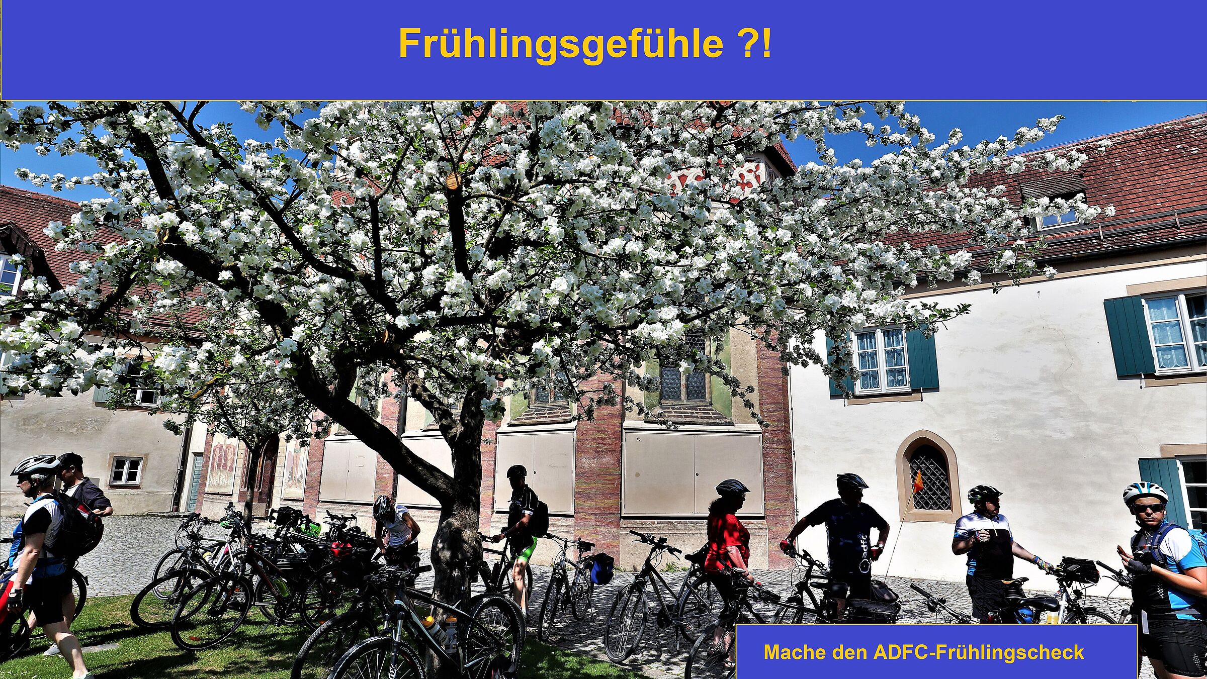 Fahrräder unter blühendem Baum