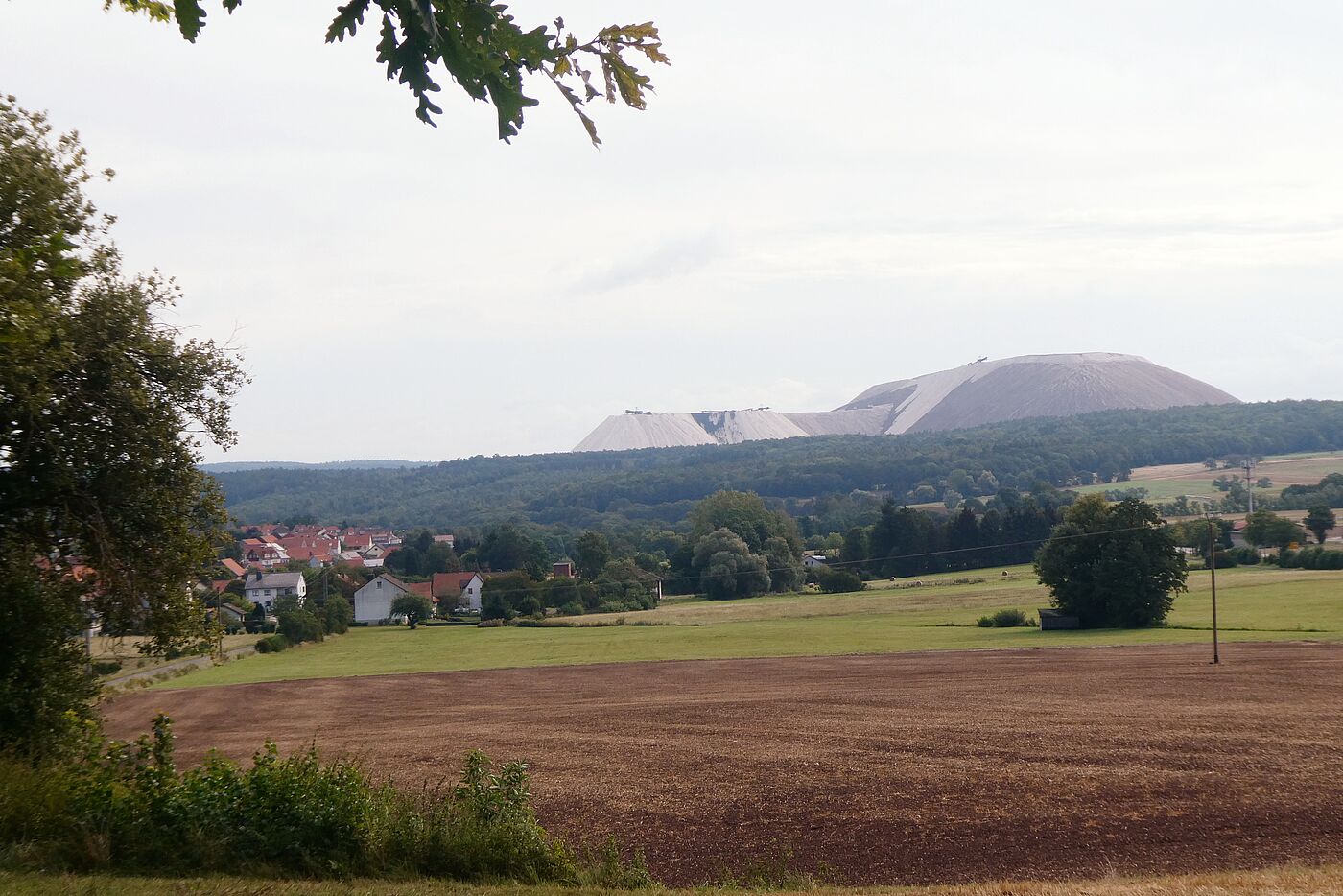 Kalkberge bei Philippsthal