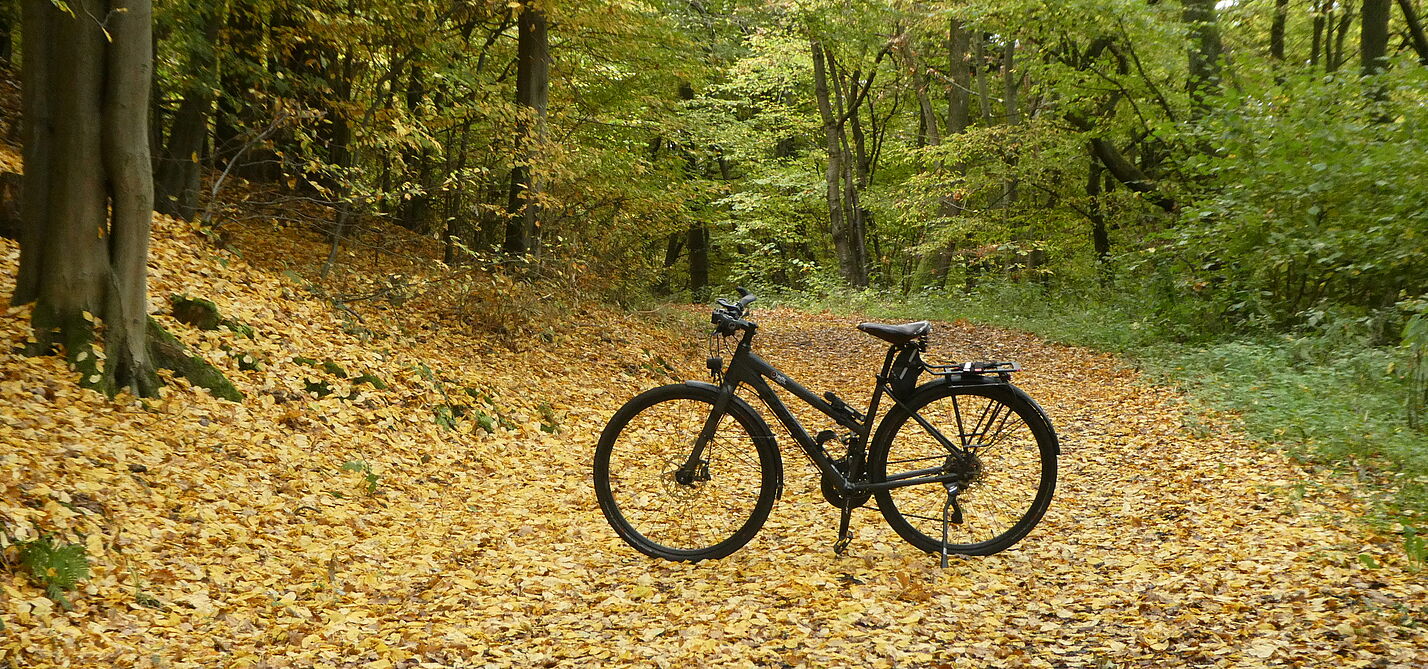 Radfahren im Herbst