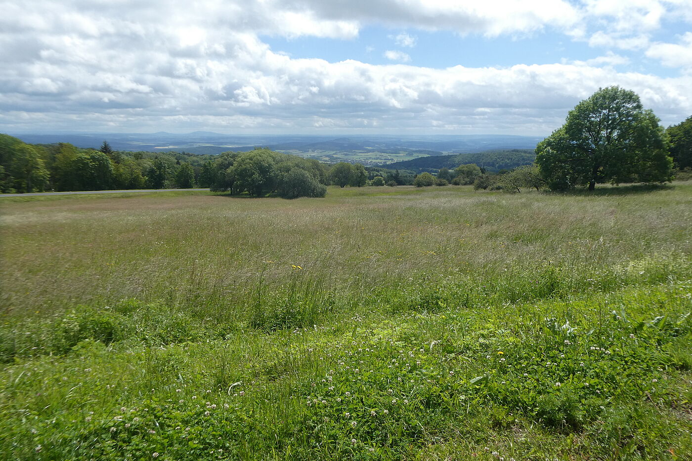 Lange Rhön