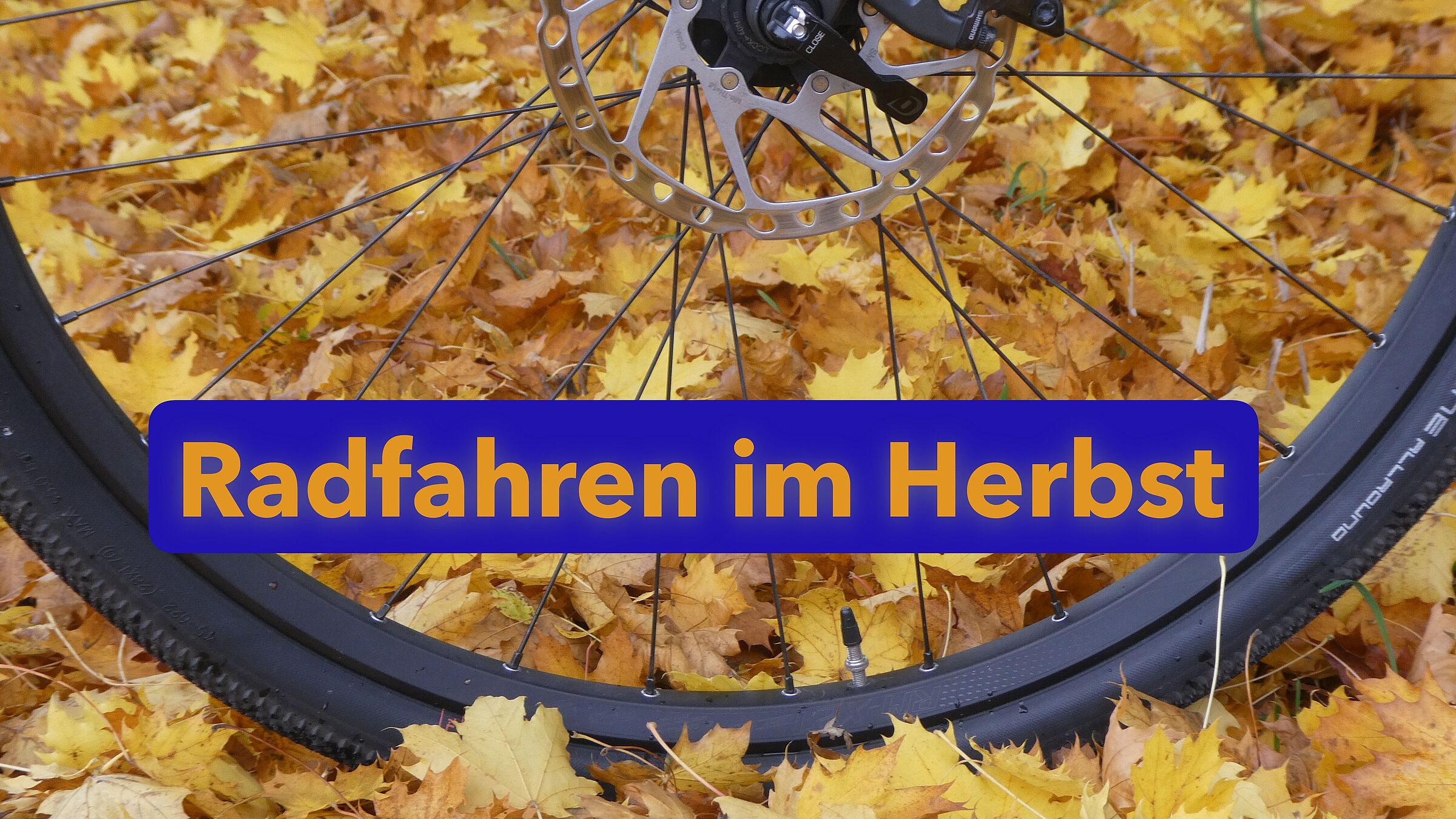 Radfahren im Herbst