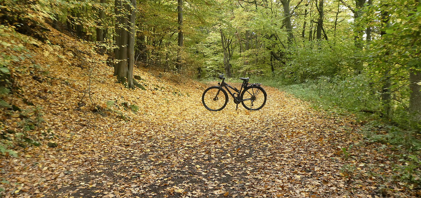 Radfahren auf geschlossener Laubdecke Radfahren im Herbst
