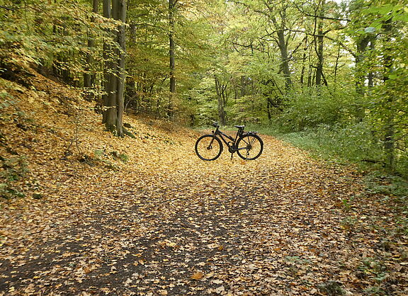 Radfahren im Herbst