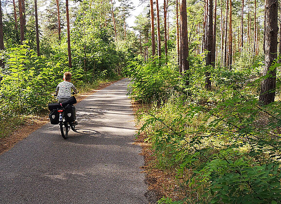 Kind fährt mit dem Rad im Wald