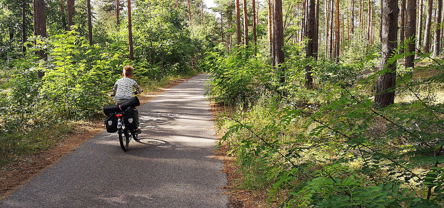 Kind fährt Fahrrad im Wald Kind fährt mit dem Rad im Wald